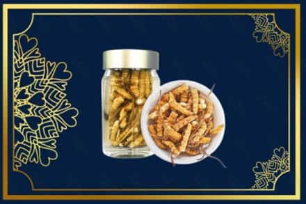 黔东南凯里市回收散虫草